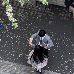 love at first sight (hartfxlt + akura)