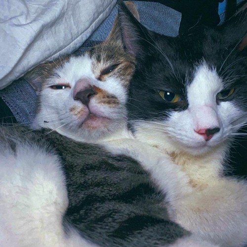 Type Beat_ Maybe (Prod.Schatz)_2022