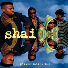 Sexual (Album Version)