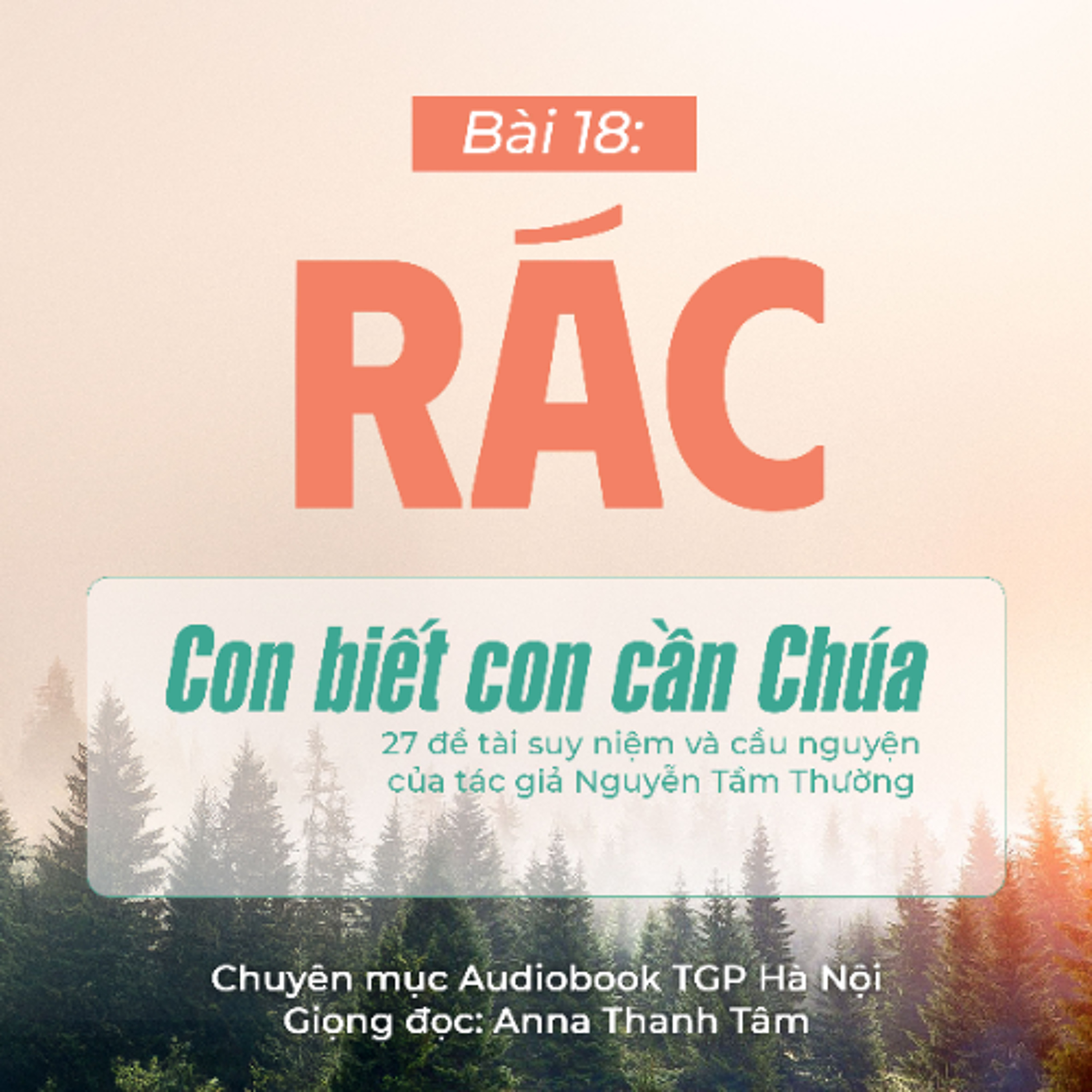 #18 Rác || Con biết con cần Chúa || Tác giả Nguyễn Tầm Thường episode artwork