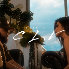 LUIS D - CLV
