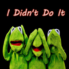 I Didn't Do It