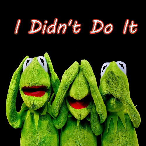 I Didn't Do It