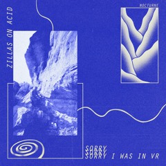 PREMIERE - Zillas On Acid - From Afar (Nocturne)