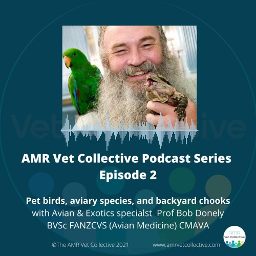 Episode 2 - Pet birds, aviary species and backyard chooks with Professor Bob Donely