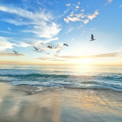 Free As A Bird (2022) Anthology CD2 Track 10