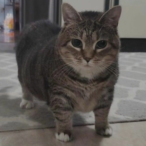 If The World Hates You Just Remember That It Hated Me First X DARK BEACH