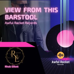 VIEW FROM THIS BARSTOOL