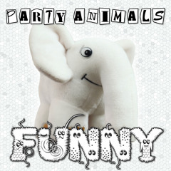 Funny (Amnesia Mix)