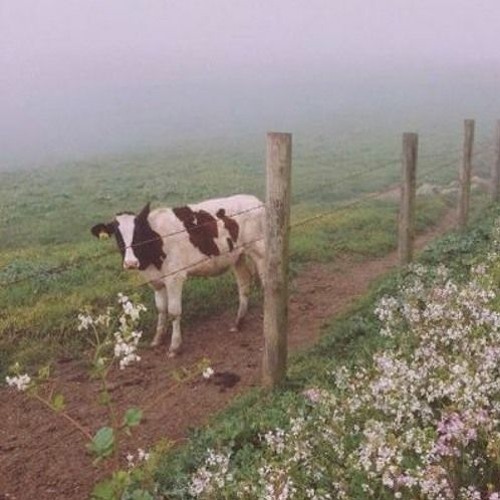 notlieu - better