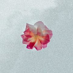 I'm the Only One Who Knows