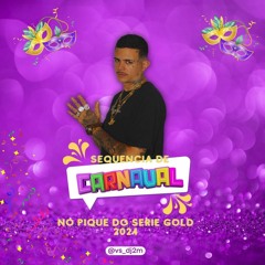 SEQUENCIA DE CARNAVAL NO PIQUE DO SERIE GOLD 2024 (DJ 2M O RITMADO)