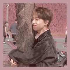 dear dream — nct dream (slowed)