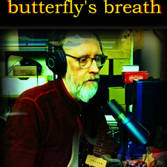 Butterfly's Breath: Your Words Weigh Less (Prototype)