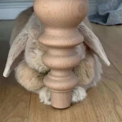 250821 Party Quest - Yeong Die - DJ set