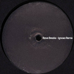 Rave Breaks Remix