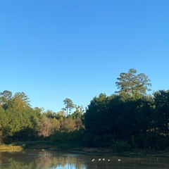 TopOppGen-Soul (Unreleased)