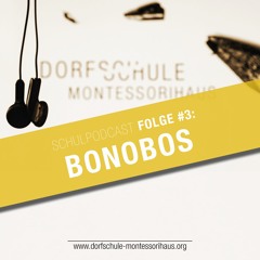 #3 Bonobos - Dorfschule Montessorihaus