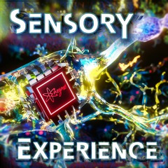Sensory Experience