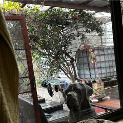 i hear the phrase 'i'm sorry' too much. w/ bateman (saint mike)