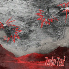 Garage 83-C pres. Turbo Teuf avec  DJ 8.6 & Ølso - 09.02.2022