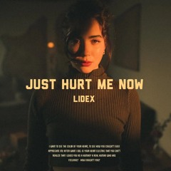 LidEx - Just Hurt Me Now
