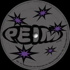 T.S.O (feat. Ildec remix) - PEIM 002 / PEIM002