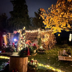 Django @ Römis Lichterfest 2024-11-16