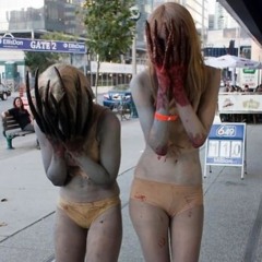 honest %%% Prod meta