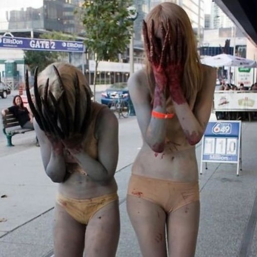 honest %%% Prod meta