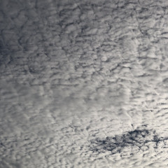 if the world was ending  ~ @josephstingley