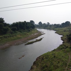 Upstream Along the Betwa