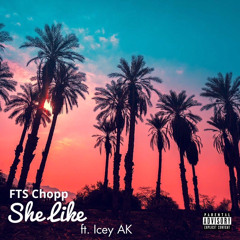 FTS Chopp - She Like (feat.Icey Ak)(prod.sneezii x Ayoleybeats x Gavinhadley_)