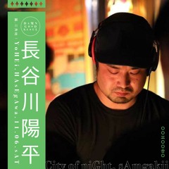 하세가와 요헤이 a.k.a. 양평이형