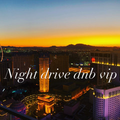 RIGGZ. - Night Drive DNB VIP