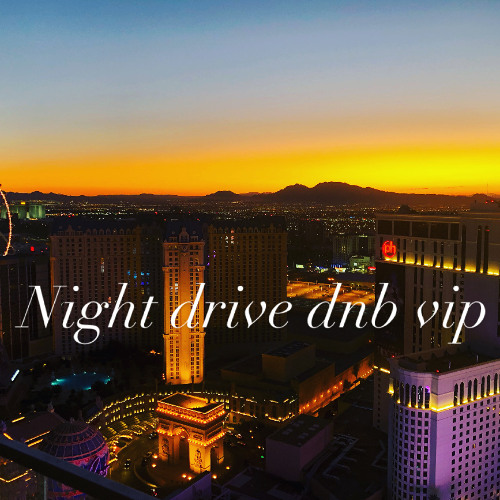RIGGZ. - Night Drive DNB VIP
