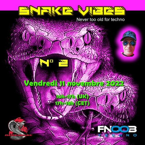 Darksnake Special Techno "Snake Vibes 2" Fnoob Techno Radio 11.11.2022