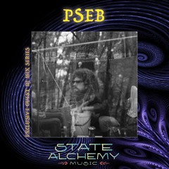 PSEB || SA Exclusive #041
