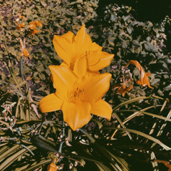 AIN`T NO TRASH - L.ØTUS  Early Morning Mix