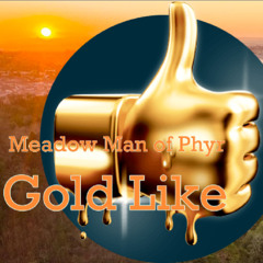 Gold Like (No Bully, No Sunlight Mix)