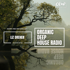 Depths of Progression vol 13