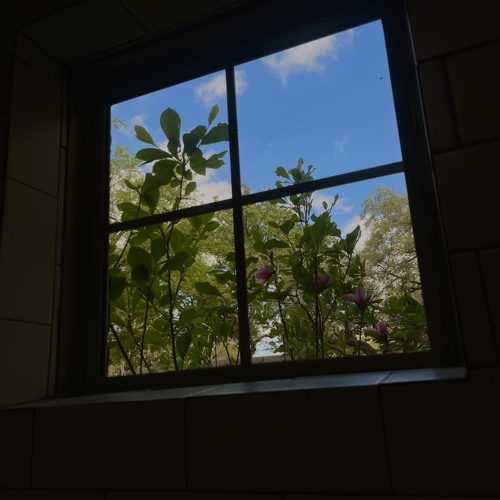 this time (demo)