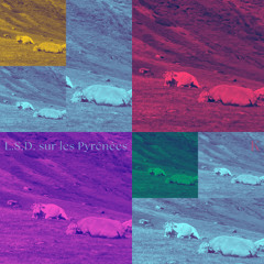 L.S.D. sur les Pyrénées