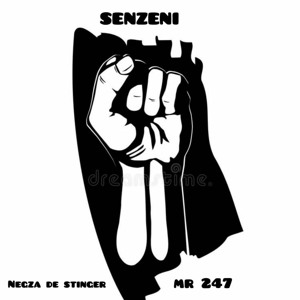 Negza De Stinger & Mr 247 (Sendzeni) Ft UmshayiSD x Coolboy