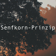 Das Senfkorn Prinzip - Jörg Zeiller