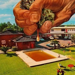 Don't  Trouble in Paradise