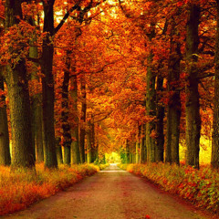 Autumn's Coming Soon