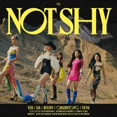 [COVER] 있지 ITZY - NOT SHY