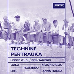 Techninė Pertrauka, Hofas