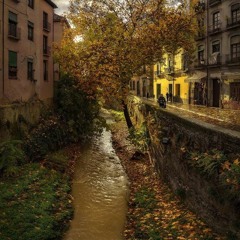 Live On The Roof #12